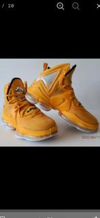 Nike air Lebron XIX. Originele schoenen maat 42,5., Ophalen of Verzenden, Zo goed als nieuw, Schoenen
