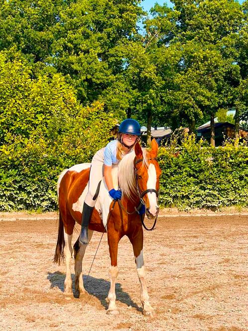 bijrijder aangeboden omg. VEENENDAAL!!, Dieren en Toebehoren, Paarden en Pony's | Verzorgingsproducten, Nieuw, Ophalen