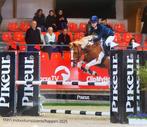 D springpony, Dieren en Toebehoren, Pony's, M, Springpony, 11 jaar of ouder, D pony (1.37m tot 1.48m)
