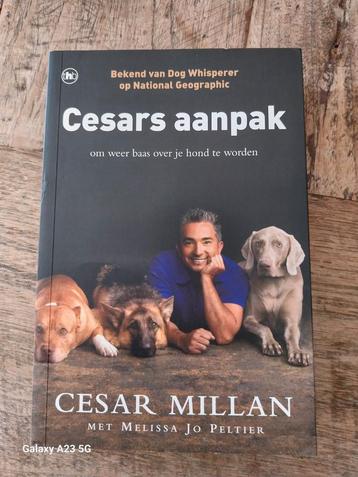 Cesars Aanpak - Cesar Millan beschikbaar voor biedingen