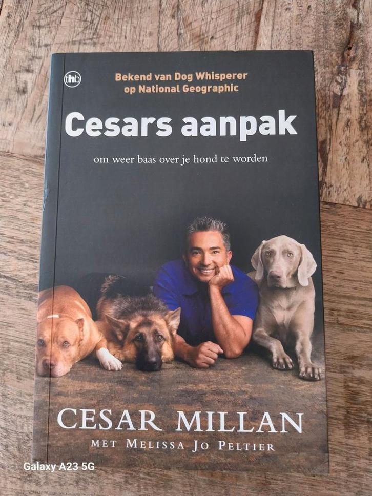 Cesars Aanpak - Cesar Millan, Boeken, Detectives, Gelezen, Tv-bewerking, Ophalen of Verzenden