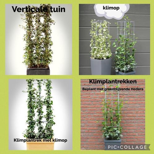 Plantenrekken voor balkon balkonrekken balkontuin, Tuin en Terras, Tuinsets en Loungesets, Nieuw, Overige materialen, 2 zitplaatsen