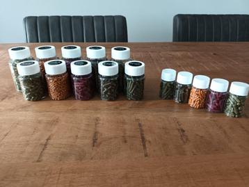 Garnalenvoer - Catappa blad - Kruidensticks - garnalensticks beschikbaar voor biedingen