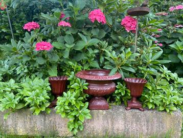 3 gietijzeren bloempotten beschikbaar voor biedingen