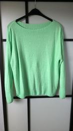 Hema trui mintgroen L 40, Kleding | Dames, Truien en Vesten, Maat 38/40 (M), Ophalen of Verzenden, Gedragen, Hema