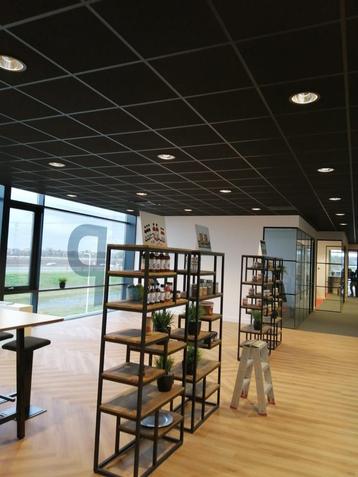 SYSTEEMPLAFOND • WANDEN • TIMMERWERK • VERLICHTING beschikbaar voor biedingen