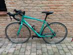 Trek Racefiets - Framemaat 54, Shimano Claris, Ophalen, Aluminium, 15 tot 20 versnellingen, Dames