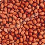 19kg gepelde pinda's incl. verzending, Nieuw, Ophalen of Verzenden, Nvt, Eten en Drinken