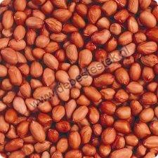 19kg gepelde pinda's incl. verzending, Dieren en Toebehoren, Vogels | Toebehoren, Nieuw, Eten en Drinken, Ophalen of Verzenden