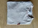 Zara T-shirt - Beige - Maat M, Ophalen, Gedragen, Maat 48/50 (M), Beige