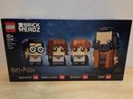 (GESEALD) Lego 40495 Harry, Hermione, Ron & Hagrid, Kinderen en Baby's, Speelgoed | Duplo en Lego, Ophalen of Verzenden, Nieuw