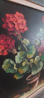 Schilderij Geraniums in Pot, Antiek en Kunst, Kunst | Schilderijen | Klassiek, Ophalen