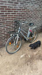 heren fiets hercules, Ophalen, Overige merken