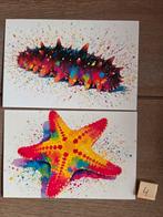 ONDER WATER 4, Verzamelen, Ophalen, Hond of Kat