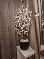 Bloesemboom nieuw, Ophalen, Nieuw