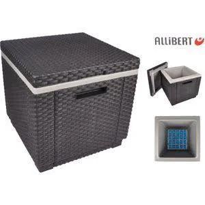Allibert Ice Cube by Keter, Caravans en Kamperen, Koelboxen, Zo goed als nieuw, Koelbox, Koelelement, Ophalen of Verzenden