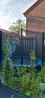Hele nette trampoline 2.30, Ophalen, Zo goed als nieuw