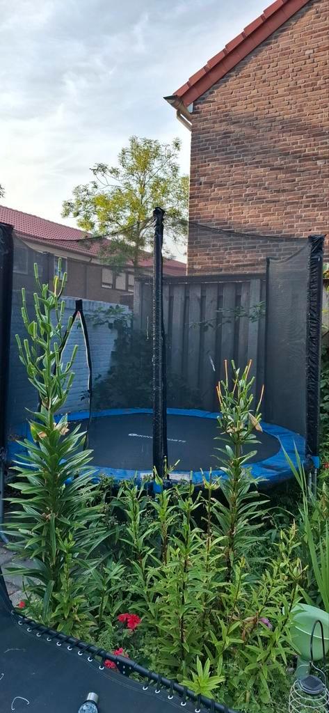 Hele nette trampoline 2.30, Kinderen en Baby's, Speelgoed | Buiten | Trampolines, Zo goed als nieuw, Ophalen