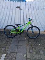 Cube 24inch Mountainbike, Ophalen of Verzenden, Gebruikt, 20 inch of meer, Cube Bulls Rockrider Giant Trek