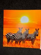 Safari Chic – een krachtige drieluik voor je interieur, Antiek en Kunst, Kunst | Litho's en Zeefdrukken, Ophalen