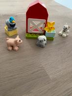 Lego Duplo dierverzorging, Ophalen of Verzenden, Zo goed als nieuw, Duplo