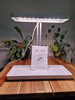 Kweeklamp, Tuin en Terras, Ophalen of Verzenden, Zo goed als nieuw, Kweeklamp