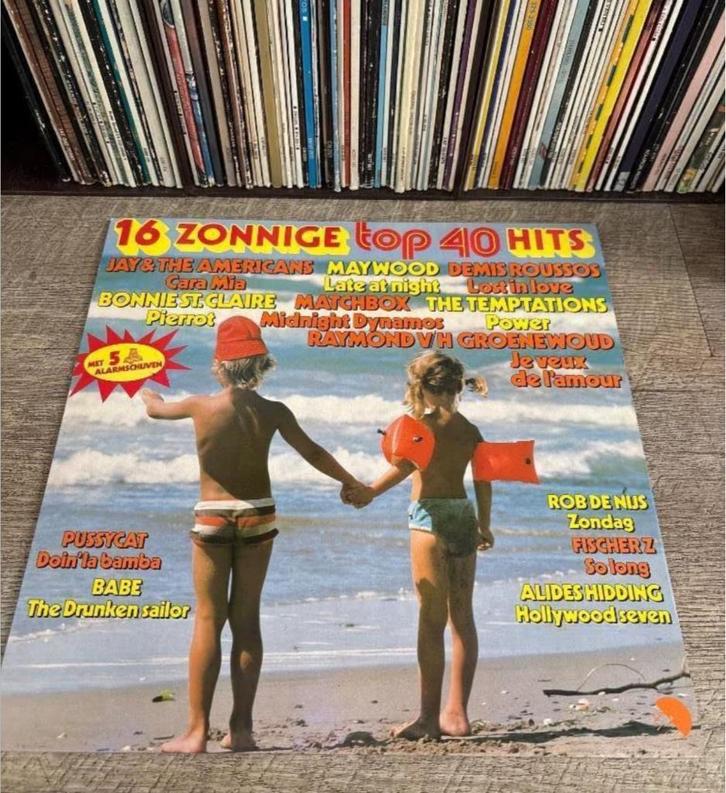 LP Top 40 - 16 Zonnige Hits, Cd's en Dvd's, Vinyl | Nederlandstalig, Zo goed als nieuw, Levenslied of Smartlap, 12 inch, Ophalen of Verzenden