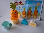 Duplo 10981.  Moestuin. Groeiende wortel., Kinderen en Baby's, Speelgoed | Duplo en Lego, Ophalen of Verzenden, Zo goed als nieuw