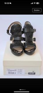 Elegante Dolce & Gabbana Schoenen - Maat 37, Ophalen of Verzenden, Gedragen, Zwart, Schoenen met hoge hakken