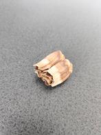 Gefossileerde tand, Ophalen of Verzenden, Fossiel