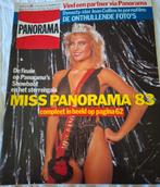 panorama 1983, Ophalen of Verzenden, 1980 tot heden, Knipsel(s)