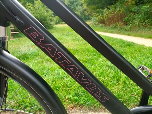 Batavus Dinsdag, Fietsen en Brommers, Fietsaccessoires | Bagagedragers, Zo goed als nieuw, Ophalen of Verzenden