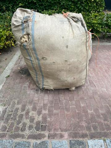 Witte schapenwol te koop beschikbaar voor biedingen