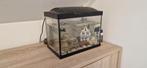 Vissen aquarium met algeneter en 2 modderkruiper, Ophalen, Zo goed als nieuw, Gevuld zoetwateraquarium
