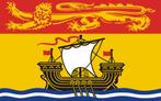 province of canada / vlag New Brunswick, Diversen, Vlaggen en Wimpels, Ophalen of Verzenden, Nieuw