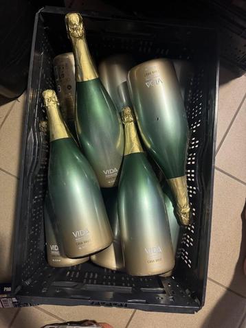 Partij Vida Barcelona Cava Brut Magnum 1500ML (Champagne) beschikbaar voor biedingen