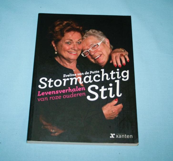 Eveline van de Putte - Stormachtig stil, Boeken, Politiek en Maatschappij, Zo goed als nieuw, Nederland, Ophalen of Verzenden