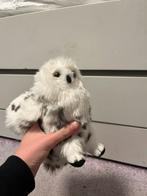 Hedwig Harry Potter uil, Verzamelen, Harry Potter, Ophalen of Verzenden, Overige typen