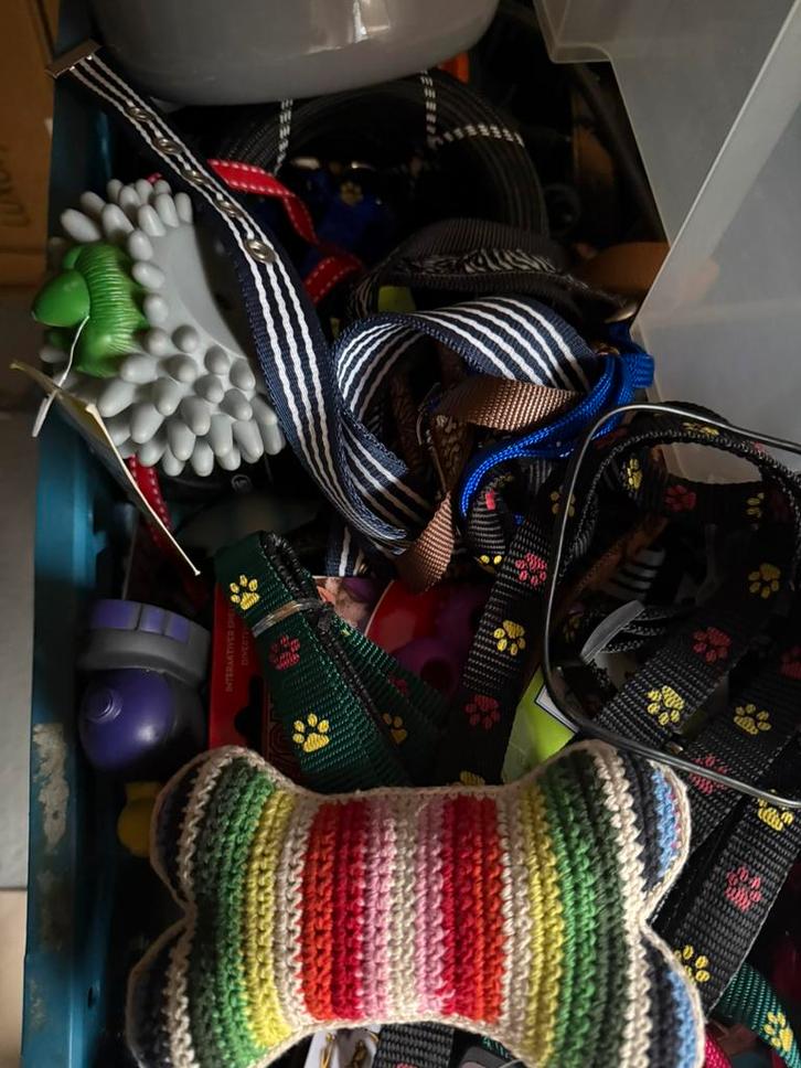 Dog and more hondenartikelen en leuke asceoires, Dieren en Toebehoren, Hondenriemen, Ophalen