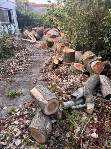 Gratis Haardhout, meerdere kuubs, zelf weghalen beschikbaar voor biedingen
