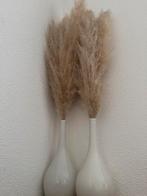 Twee Vazen met Pampas Gras – Complete Set, Ophalen of Verzenden, Zo goed als nieuw