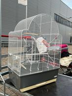 Dierenkooi – Voor Vogels of Kleine Dieren (1 Deel Mist), Dieren en Toebehoren, Ophalen of Verzenden, Zo goed als nieuw, Metaal