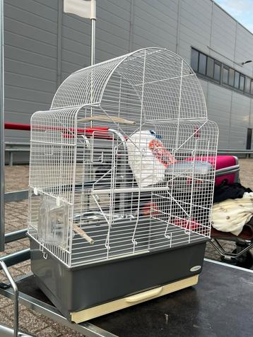 Dierenkooi – Voor Vogels of Kleine Dieren (1 Deel Mist) beschikbaar voor biedingen