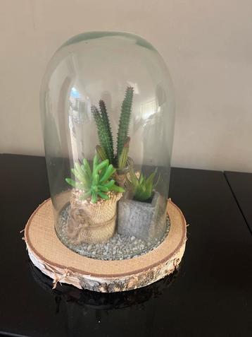 BIJNA GRATIS! Stolp met cactus decoratie beschikbaar voor biedingen