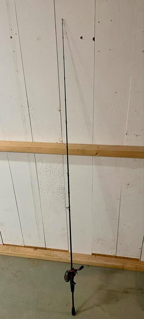 Zebco Aven Baitcast Set - Zo goed als nieuw!, Watersport en Boten, Hengelsport | Roofvissen, Zo goed als nieuw, Complete set, Ophalen of Verzenden