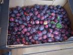 pruimen te koop, ongespoten, biologisch, Ophalen