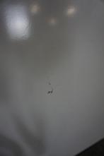 Whiteboard | 122x102,5, Diversen, Schoolborden, Ophalen of Verzenden, Gebruikt, Whiteboard