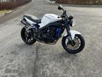 Triumph Speed Triple, Bedrijf, 1050 cc, Meer dan 35 kW, Toermotor