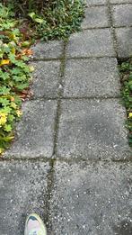 Grindtegels 50 x 50. Circa 40 stuks., Ophalen, Gebruikt, 5 tot 10 m², Beton