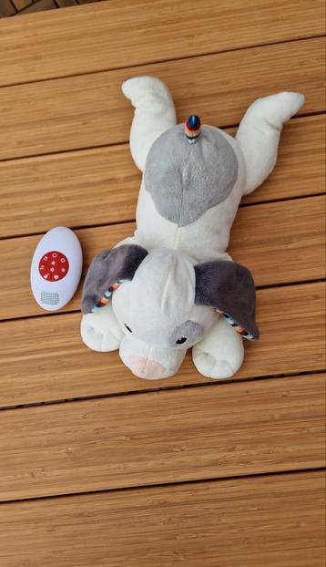 Zazu hartslagknuffel Dex de hond beschikbaar voor biedingen